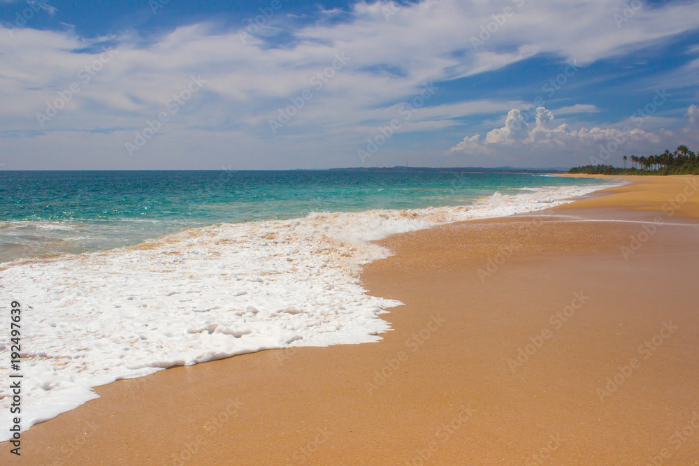 Beautiful beach. View of nice tropical beach with palms around. Holiday and vacation concept. Tropical beach.