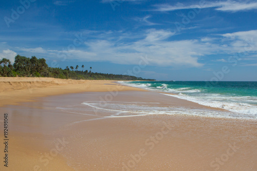 Beautiful beach. View of nice tropical beach with palms around. Holiday and vacation concept. Tropical beach.