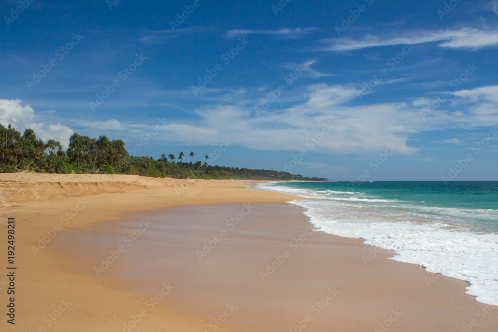 Beautiful beach. View of nice tropical beach with palms around. Holiday and vacation concept. Tropical beach. Beautiful beach. View of nice tropical beach with palms around. Holiday and vacation concept. Tropical beach.