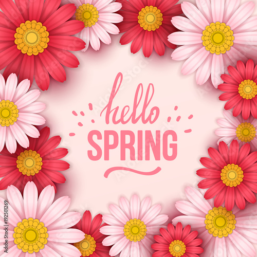 Colorful spring background with beautiful flowers. Vector illustration