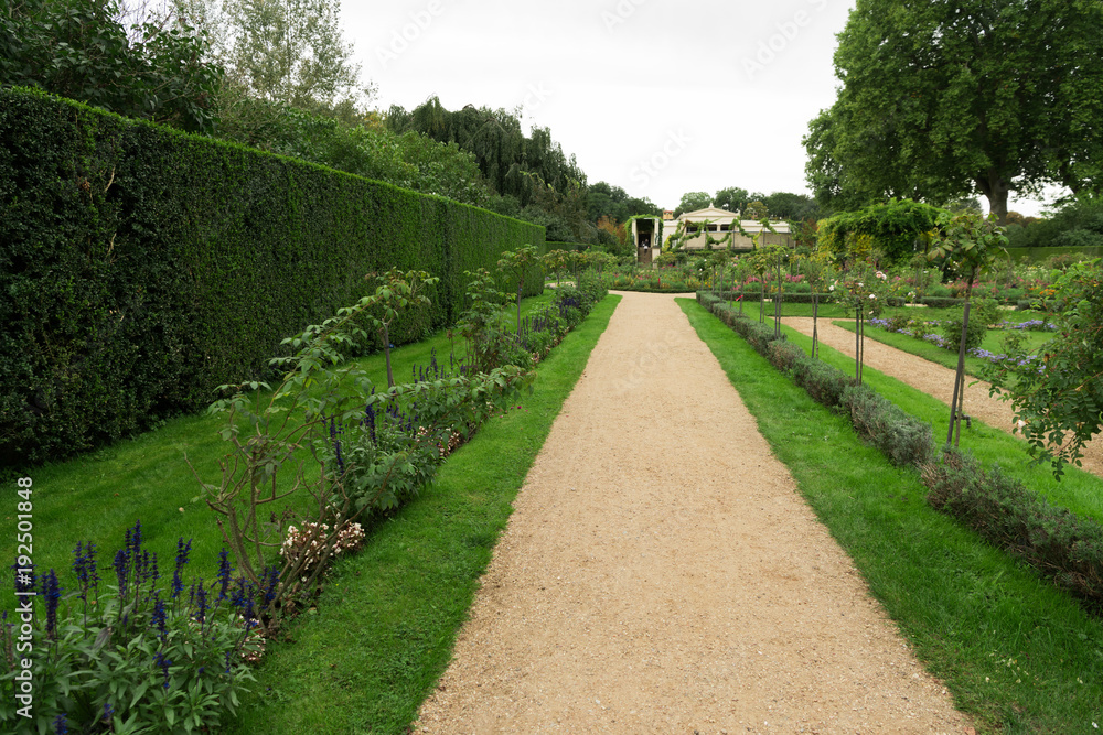 Obraz premium a hedge in the garden