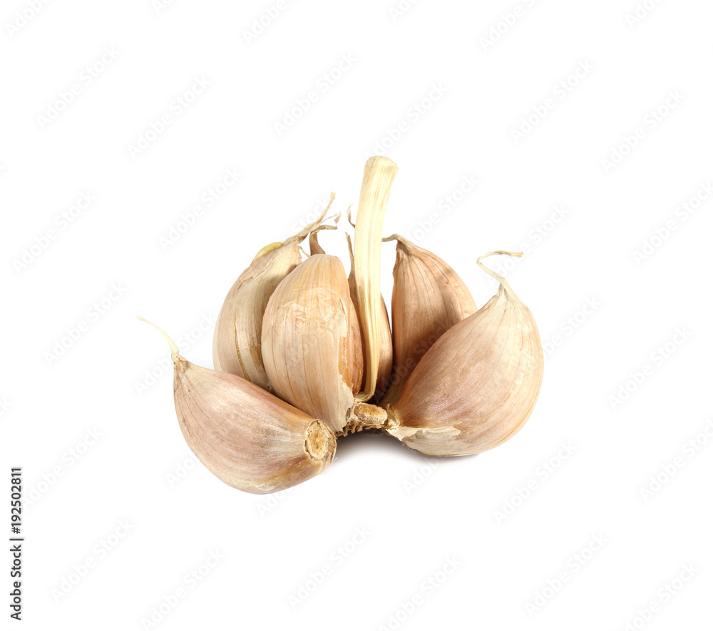 Fototapeta premium Dry garlic isolated on white background.