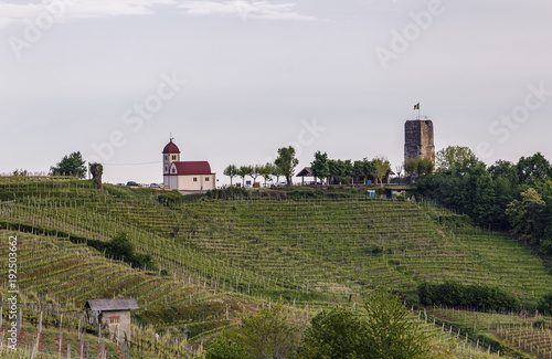 Gattinara Wine © lucianofochi