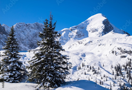 Blick zur Alpspitze © topics