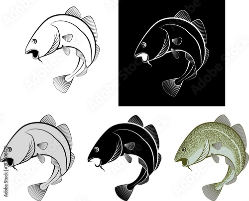 isolated cod fish - clip art illustration and line art