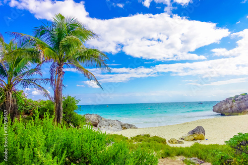 Fototapeta Naklejka Na Ścianę i Meble -  Amazing beautiful view of the beach with turquoise water, some palm trees and green vegetation in a gorgeos day with blue sky and white sand close to Mayan Ruins of Tulum. Riviera Maya, in Mexico