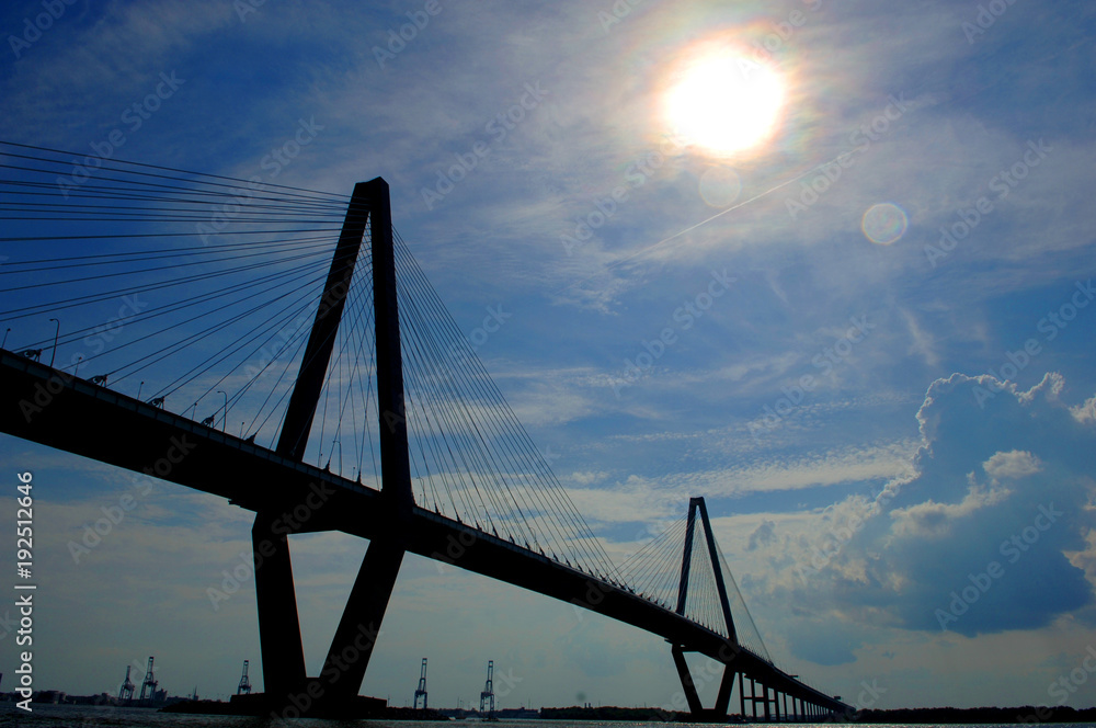 Obraz premium Suspension Bridge 