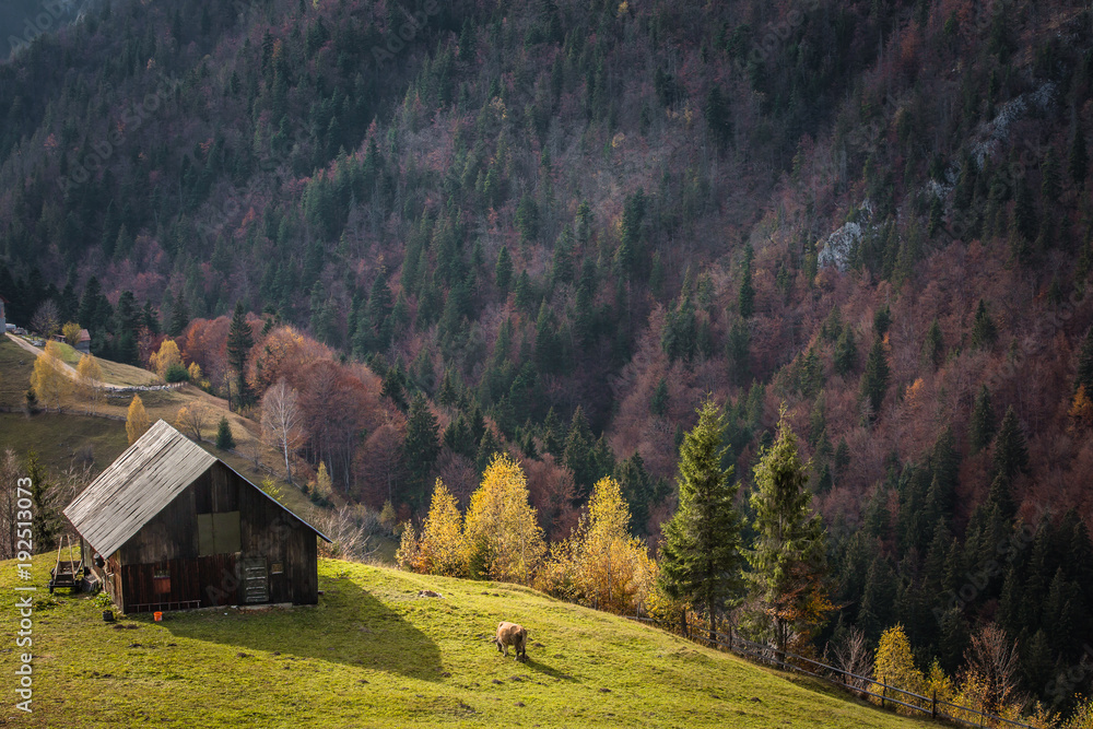 A autumn day in a village near Dracula's castle in Transylvania with the beautiful autumn colors