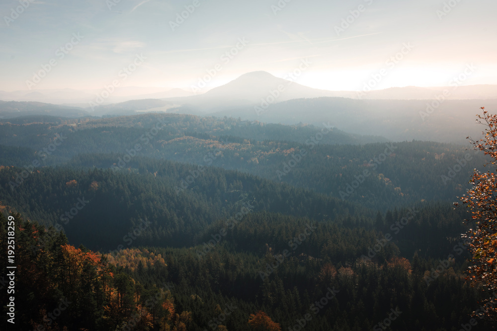 A view of the forest from the mountain. Autumn landscape