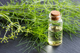 A bottle of fennel essential oil with fennel twigs