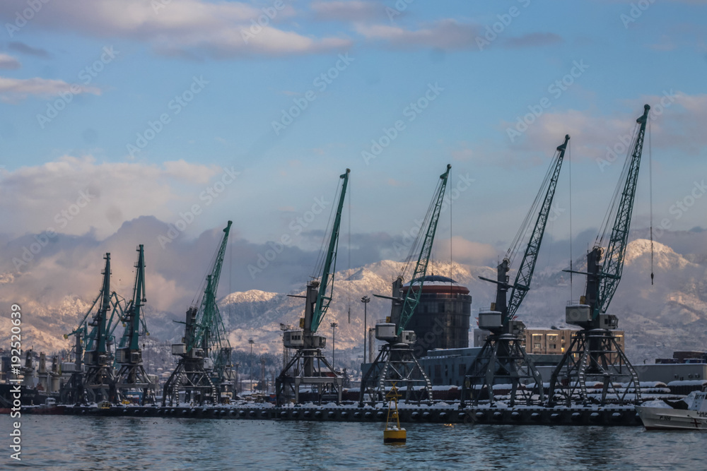 cranes in winter port
