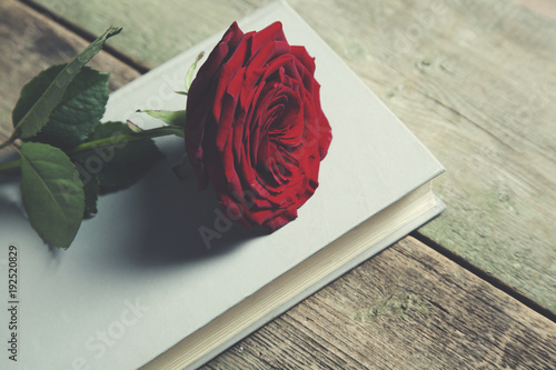 red rose on book