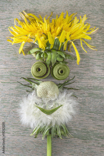 Fototapeta Naklejka Na Ścianę i Meble -  Löwenzahn in ein Gesicht mit Lächeln kreativ verwandeln