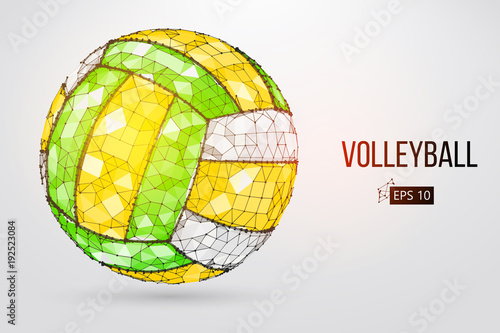 Silhouette of a volleyball ball. Dots, lines, triangles, text, color effects and background on a separate layers, color can be changed in one click. Vector illustration.