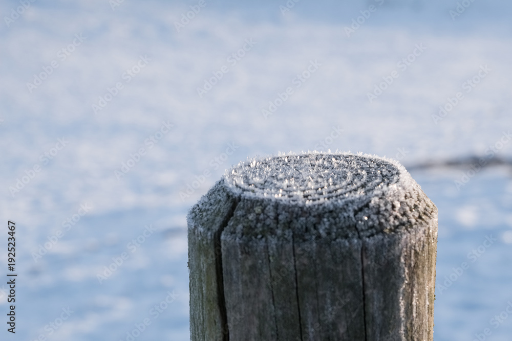 Naklejka premium Eiskristalle in der Sonne