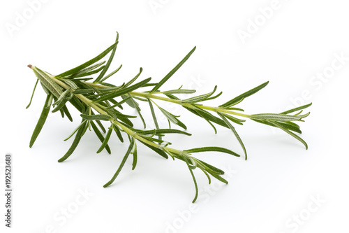 Rosemary isolated on white background, Top view. © gitusik