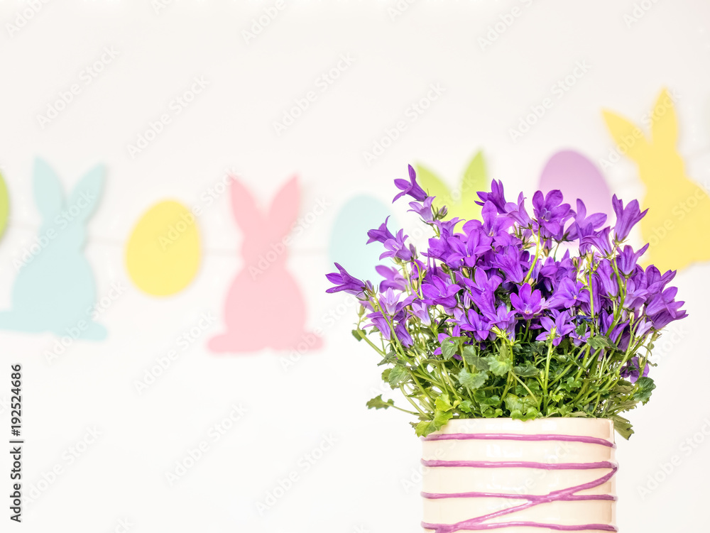 Easter background with spring flowers