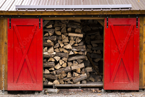 Obraz na płótnie Firewood w salonie