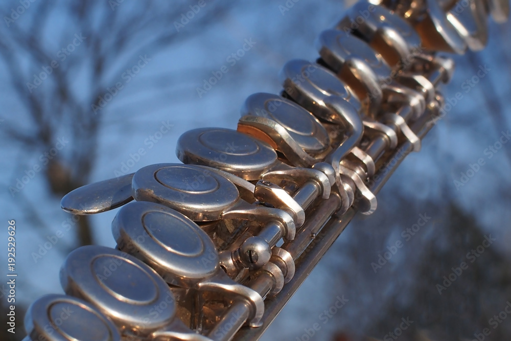 Fototapeta premium OLYMPUS DIGITAL CAMERA