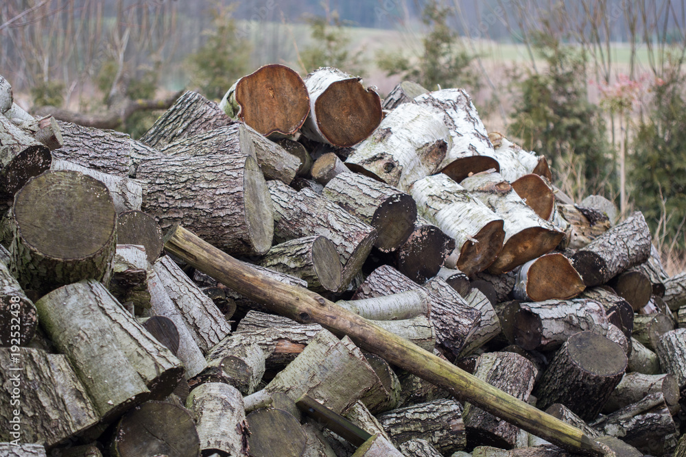 there was forest there is firewood there was forest there is firewood