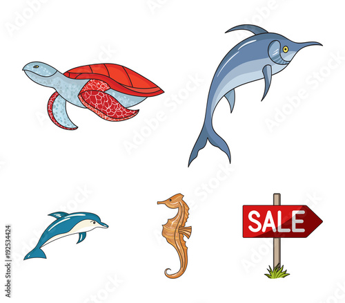 Merlin, turtle and other species.Sea animals set collection icons in cartoon style vector symbol stock illustration web.