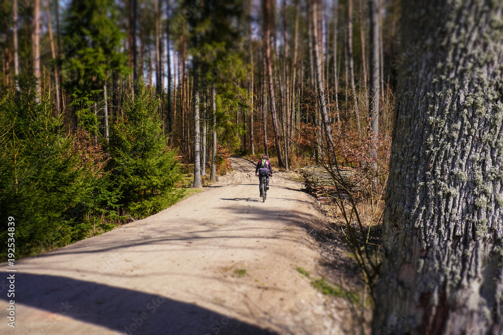tilt shift orientation rally in the forest (bicycle) - obrazy, fototapety, plakaty 