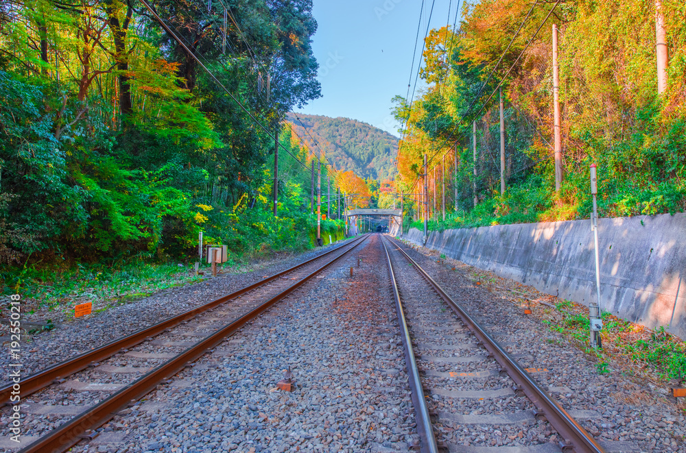 Railway near of Arashiyama bamboo grove cable train line at Gora station in Hakone, Kyoto,Japan.