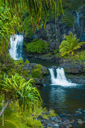 Fototapeta Naklejka Na Ścianę i Meble -  Waterfall scene on Maui