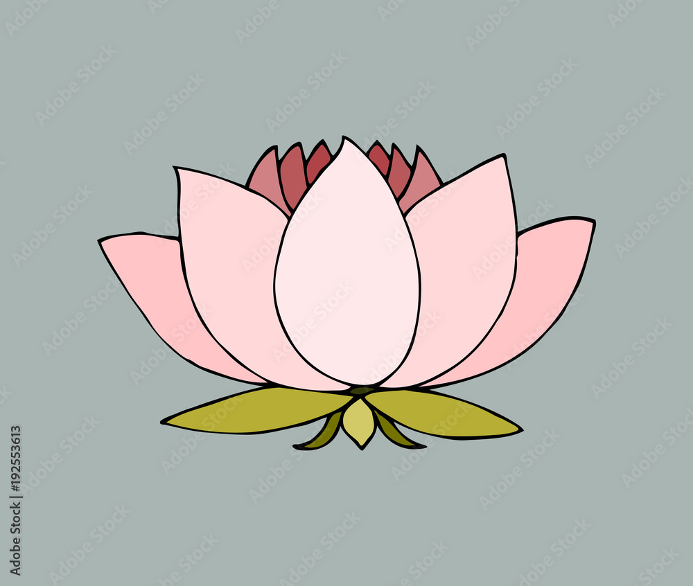 sketch hand-drawn isolated national symbol of india water lily ...