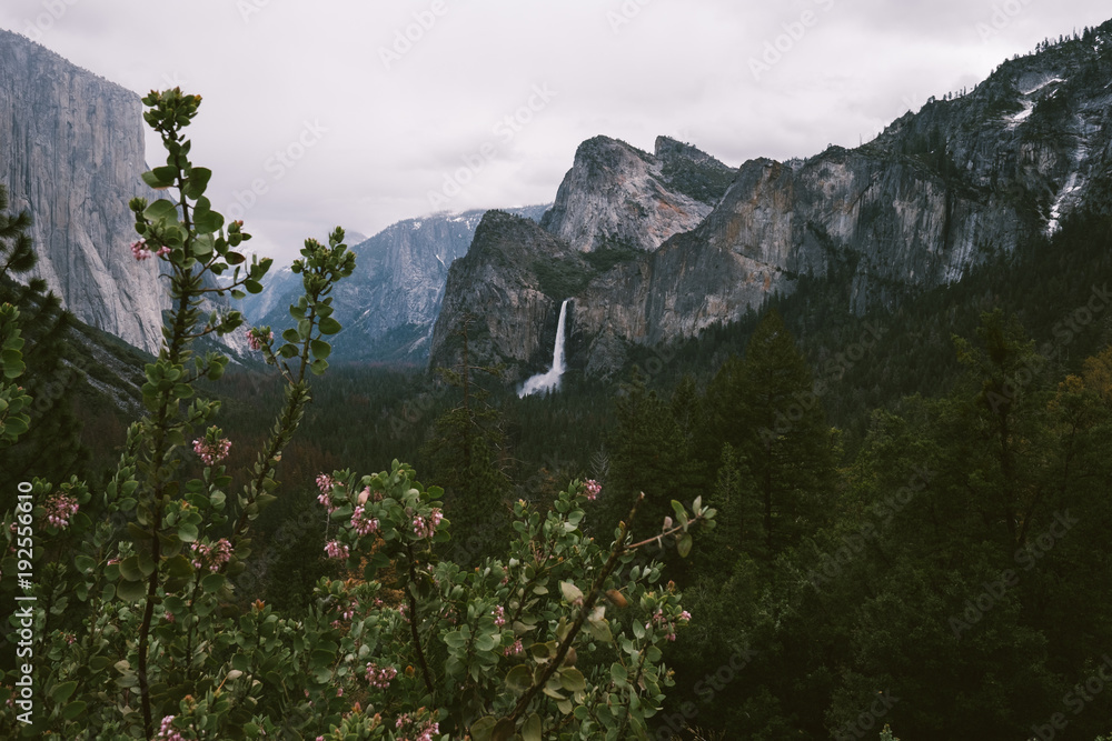 Yosemite mountains and green landscape Yosemite mountains and green landscape