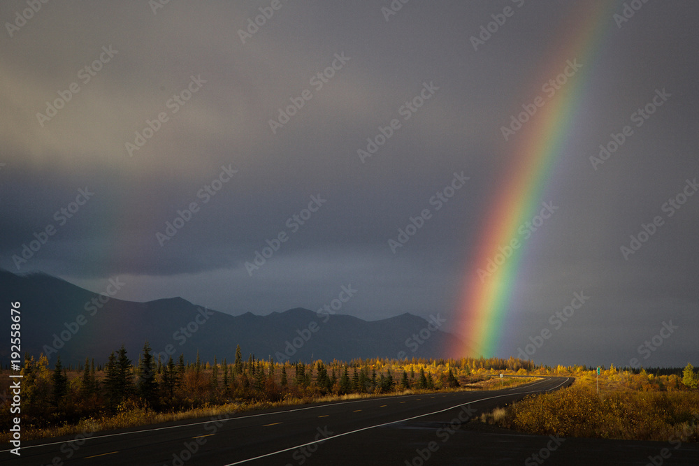 Rainbow Rainbow