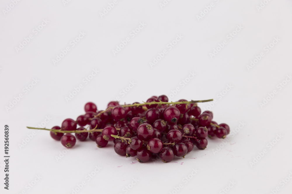 ribes rosso di sottobosco biologico per bevande e diete ribes rosso di sottobosco biologico per bevande e diete