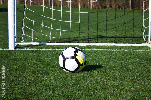 White soccer ball in the gate on a green grassy football field