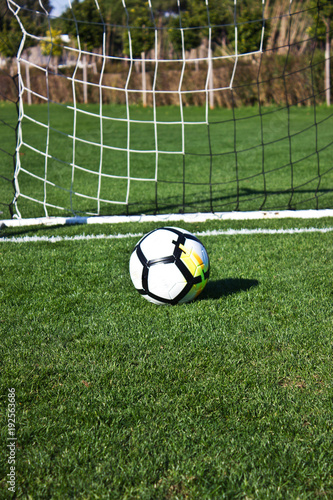 White soccer ball in the gate on a green grassy football field © Anna