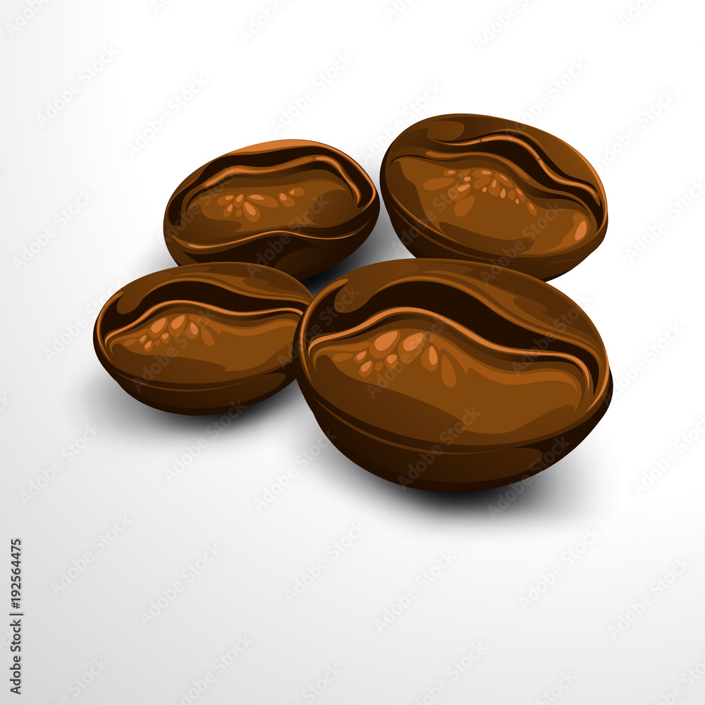 Fototapeta premium coffee bean. vector illustration.