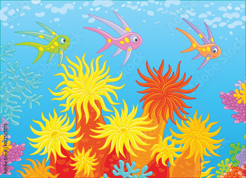 Bright fishes swimming in blue water over anemones on a colorful coral reef in a tropical sea  a vector illustration in cartoon style