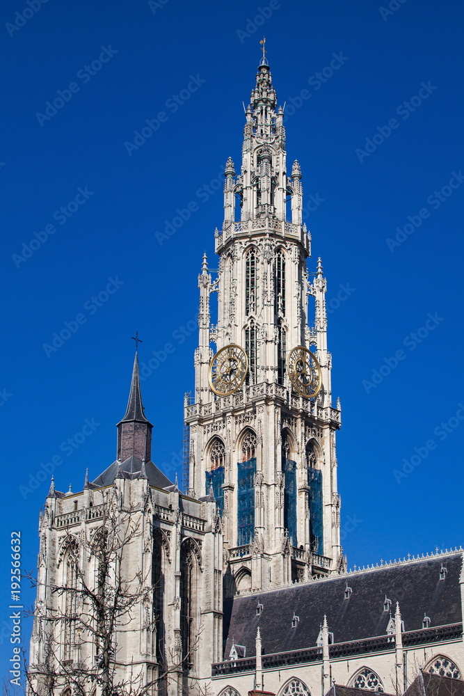 Fototapeta premium アントウェルペン大聖堂