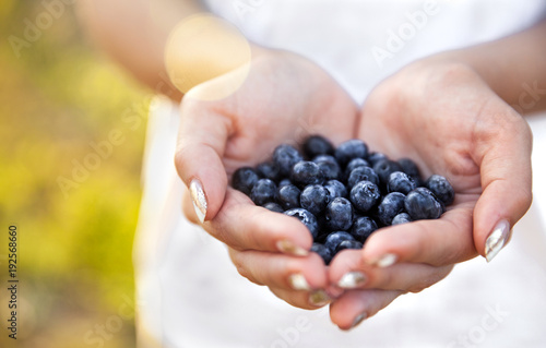 Blueberries in the hands of farmers, women's hands. Fruits, berries, food, nature