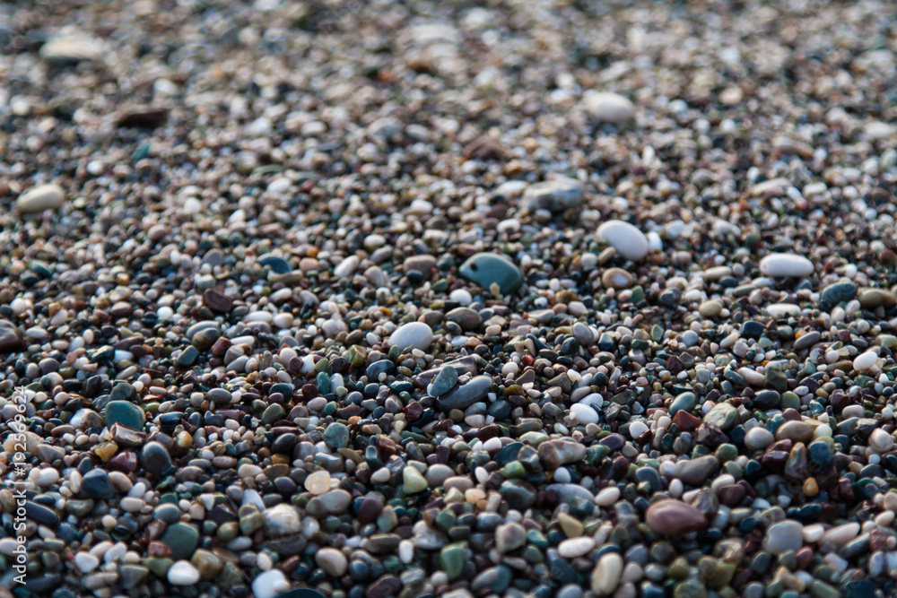 multi-colored pebbles on the beach, washed by waves multi-colored pebbles on the beach, washed by waves