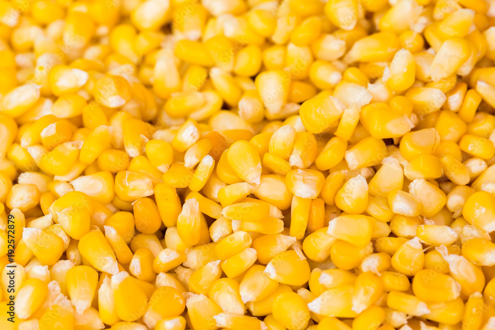 Sweet yellow buttered corn Sweet yellow buttered corn
