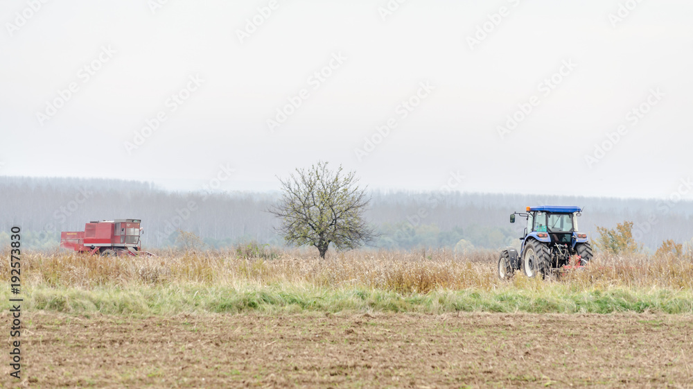 Fototapeta premium Harvester machine to harvest wheat field working