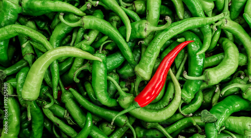 Pepper is green and red. Hot pepper. Pepper background. Chilli. © brovkoserhii
