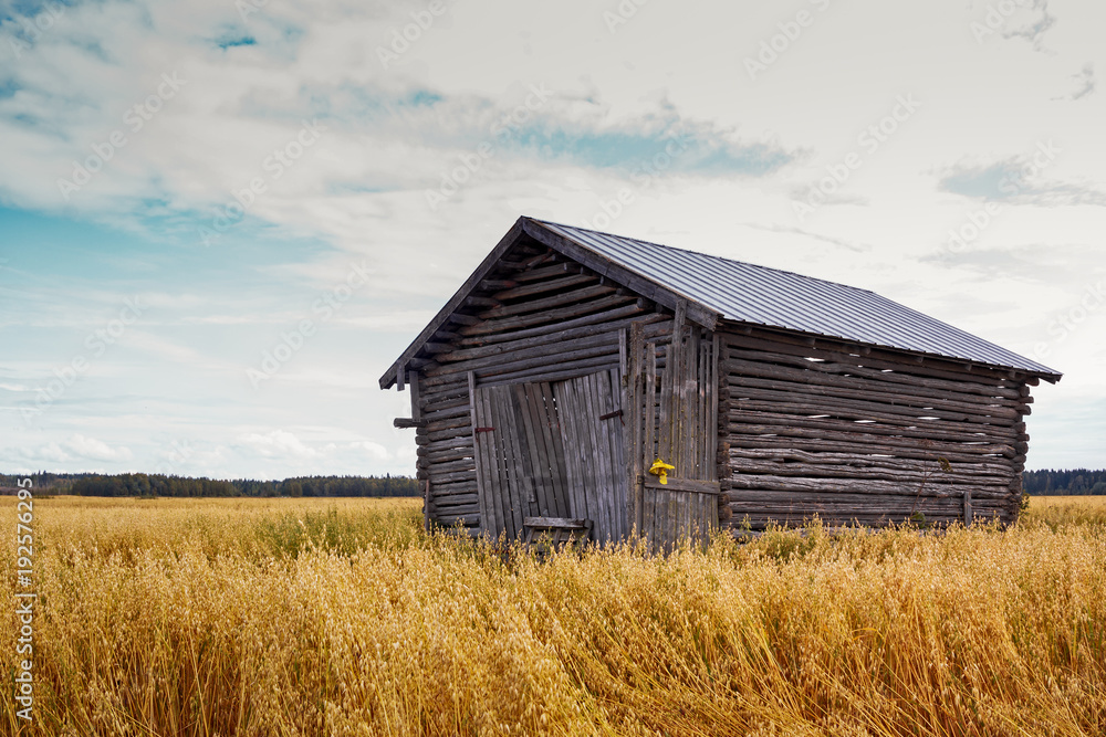 Barn House In The Middle Of The Fields Barn House In The Middle Of The Fields