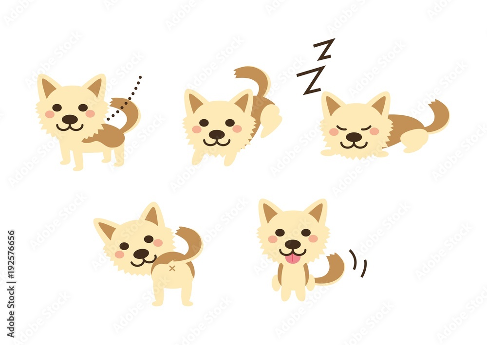 犬 犬