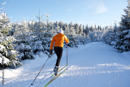 Bild auf Leinwand Langlauf im Thüringer Wald, Loipe mit Skifahrer, Rennsteig 8