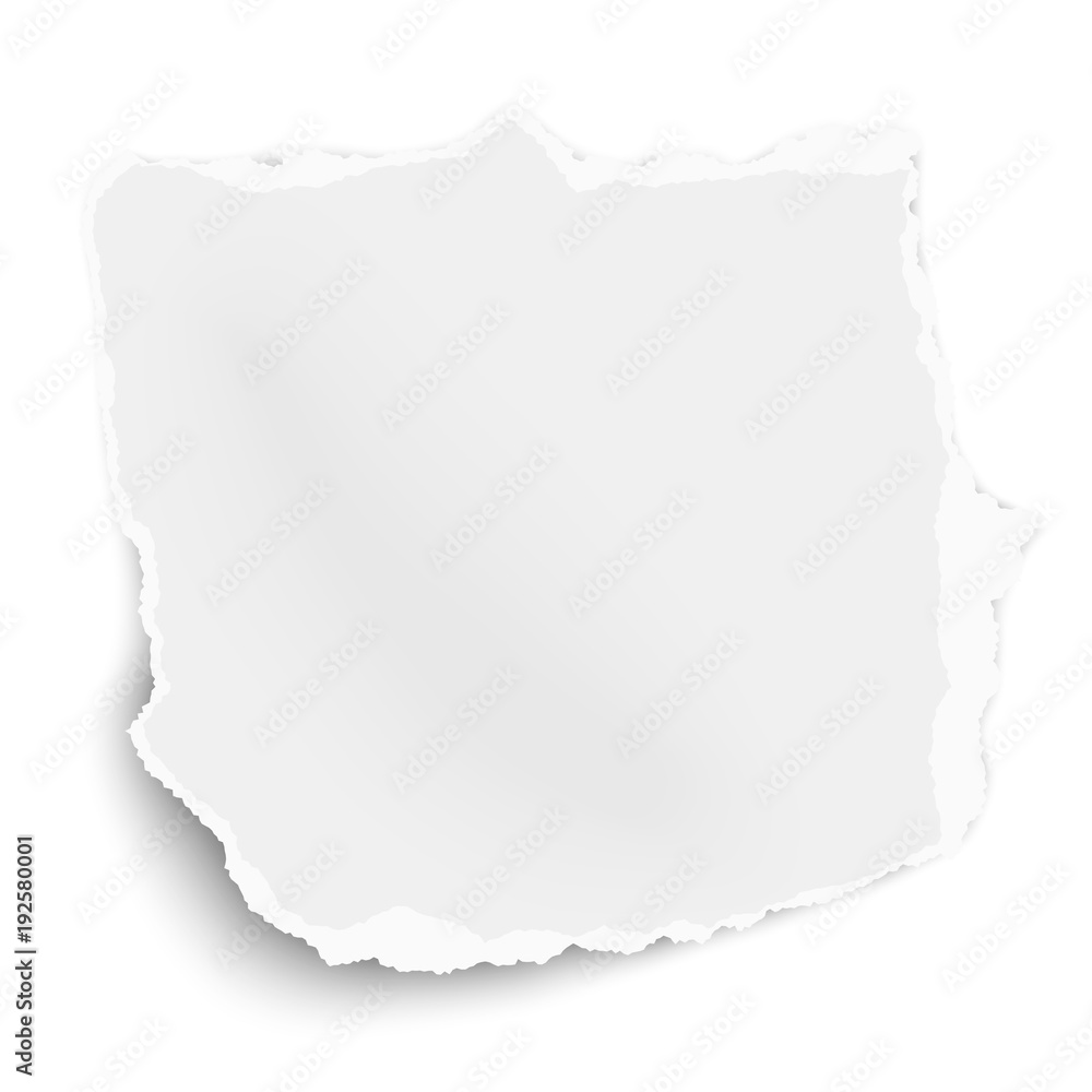 Ripped piece of paper with soft shadow isolated on white background. Vector template paper design.