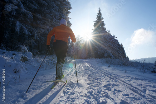 Langlauf im Thüringer Wald, Loipe mit Skifahrer