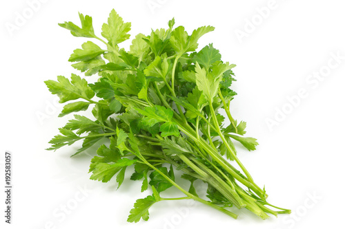 Fresh green parsley, herbs isolated on a white background with a clipping path.
