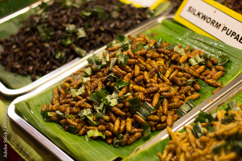 Street food insects fried in thailand