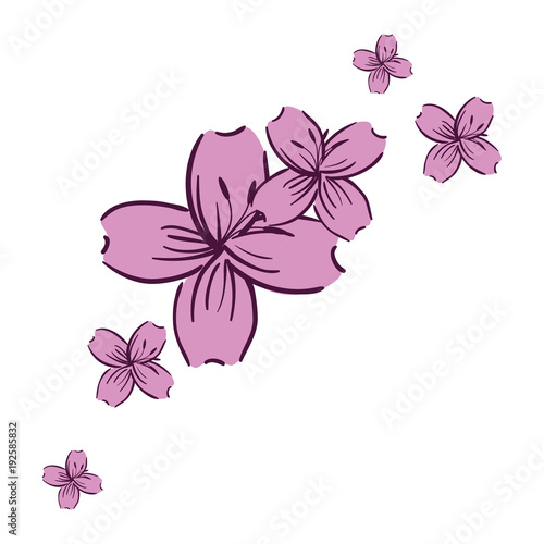 beautiful floral decoration frame vector illustration design